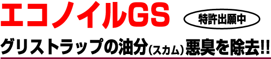 エコノイルGS